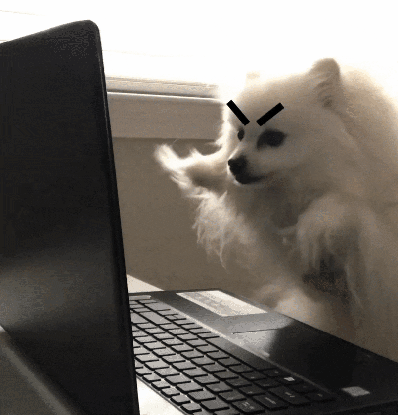 GIF de um cachorro de pelo branco digitando bravo num notebook