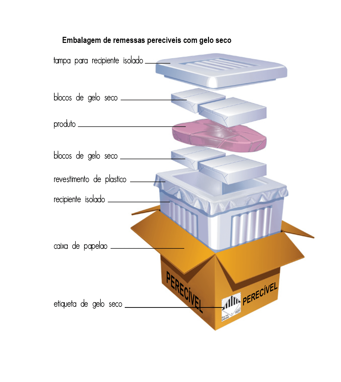 Ilustração da embalagem de remessas perecíveis com gelo seco: caixa de papelão, recipiente isolado, revestimento plástico, blocos de gelo seco e etiqueta