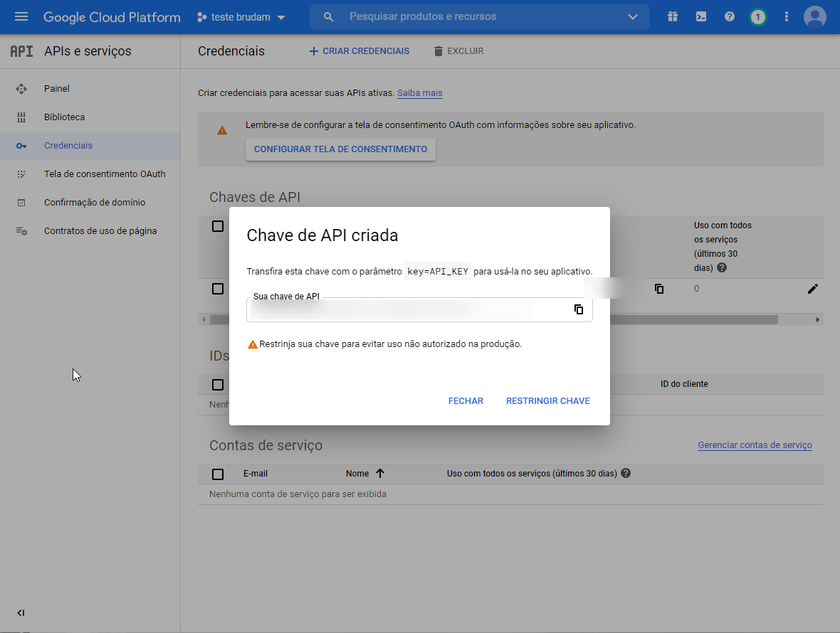 Janela Chave de API criada com a chave gerada para usar no sistema
