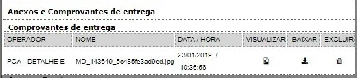 Bloco Comprovantes de entrega da remessa no Brudam TMS, com o operador, o arquivo do comprovante, a data e a hora do envio e os botões Visualizar, Baixar e Excluir